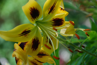 Similar image 21550280