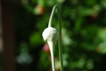 Similar image 21550281