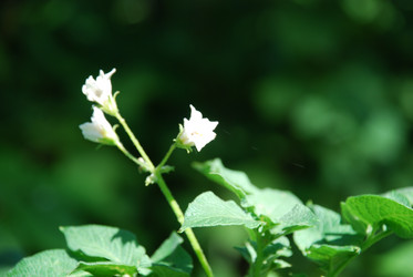 Similar image 21550282