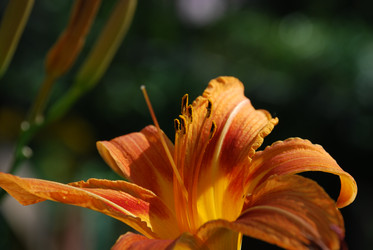 Similar image 21550284