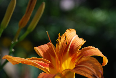 Similar image 21550285