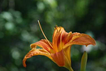 Similar image 21550286