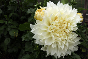 Similar image 21550128