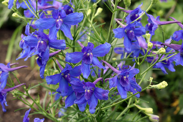 Similar image 21550129