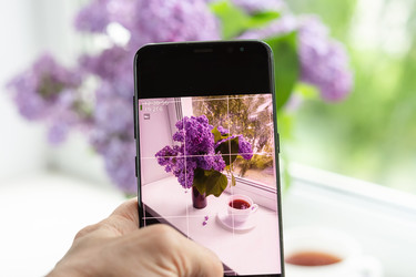 Similar image 21550309