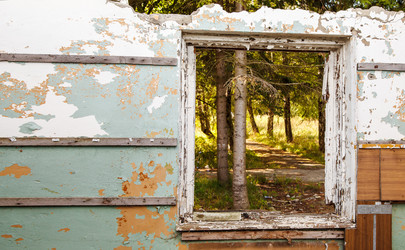 Similar image 21550330