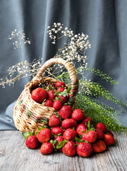 Similar image 21550369