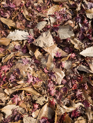 Similar image 21550769