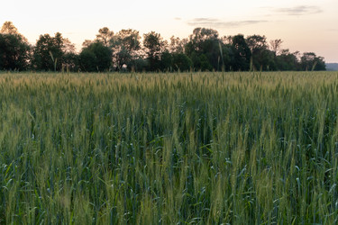 Similar image 21550770