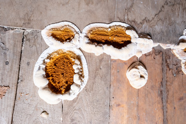 Similar image 21550771