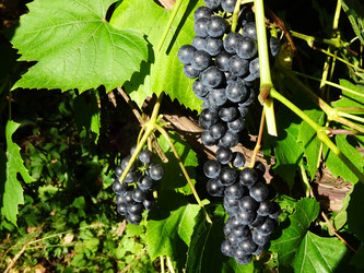 Similar image 21550371