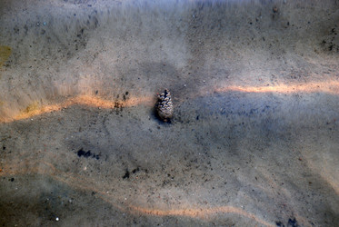 Similar image 21551121