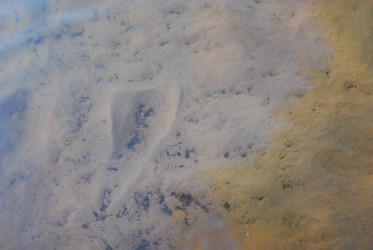 Similar image 21551124