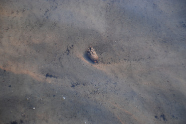 Similar image 21551133