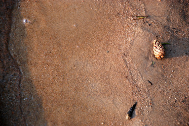 Similar image 21551134