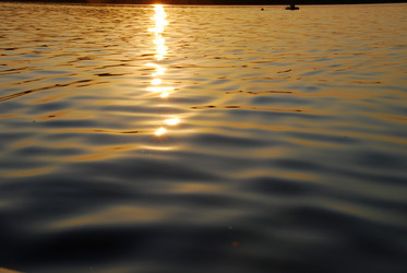 Similar image 21551137