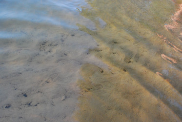 Similar image 21551138