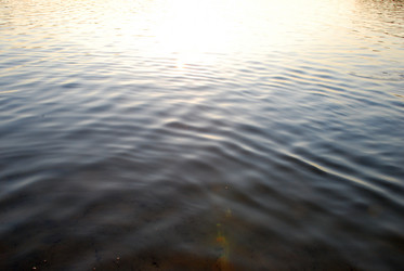 Similar image 21551139