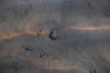 Similar image 21551145