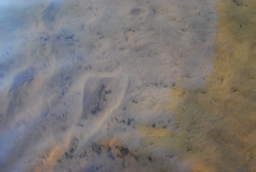 Similar image 21551146