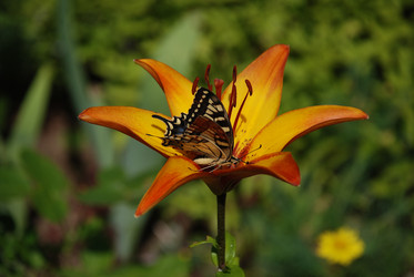 Similar image 21551149