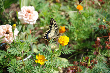 Similar image 21551150