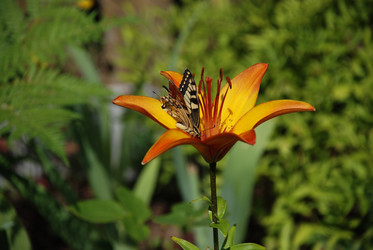 Similar image 21551157