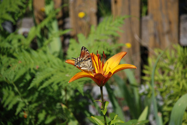 Similar image 21551160