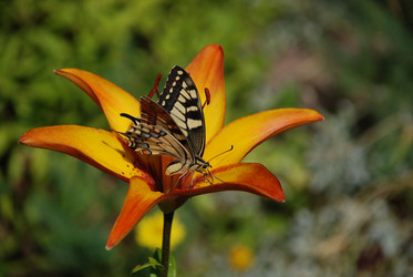 Similar image 21551161