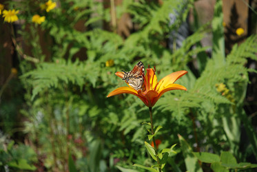 Similar image 21551162