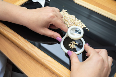 Similar image 21552660