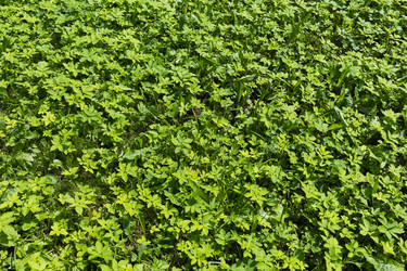 Similar image 21552664