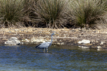 Similar image 21555074