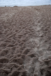 Similar image 21551781