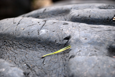 Similar image 21551788