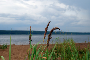 Similar image 21551791