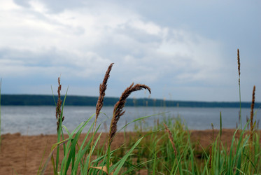 Similar image 21551799