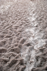 Similar image 21551803