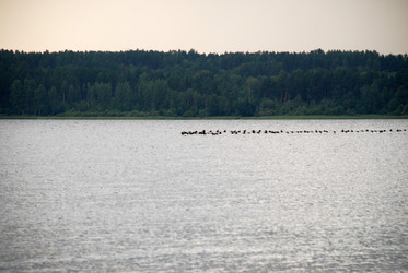 Similar image 21551804