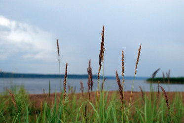 Similar image 21551811