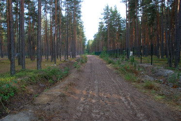 Similar image 21551818