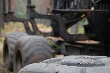 Similar image 21551827