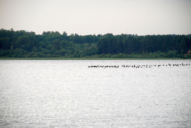 Similar image 21551830