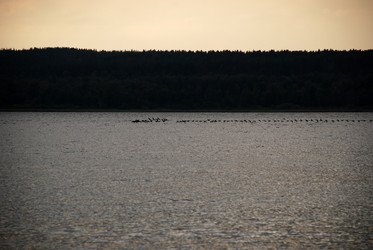 Similar image 21551833