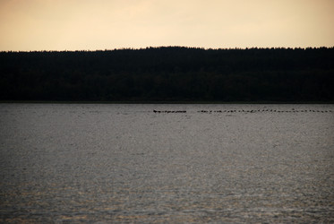 Similar image 21551834