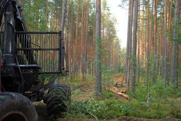 Similar image 21551838