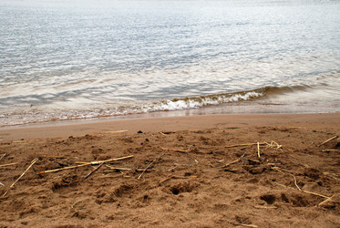 Similar image 21551843