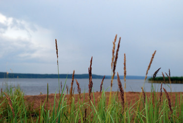 Similar image 21551844