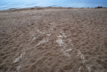 Similar image 21551845