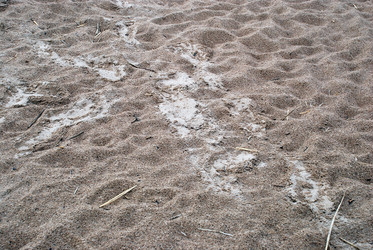 Similar image 21551850